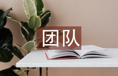 優(yōu)秀團(tuán)隊(duì)先進(jìn)事跡材料