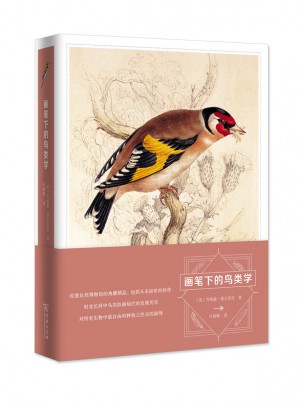 畫筆下的鳥類學(xué)