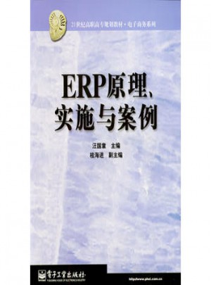 ERP原理、實(shí)施與案例