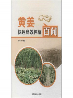 黃姜快速高效種植百問圖書