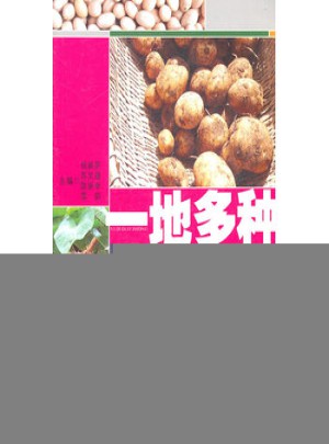 一地多種薯類作物高效種植模式圖書