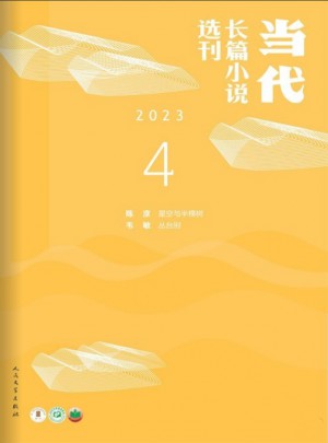 小說(shuō)選刊