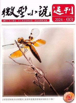 微型小說選刊